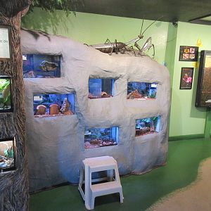 Bug Zoo (part of it)