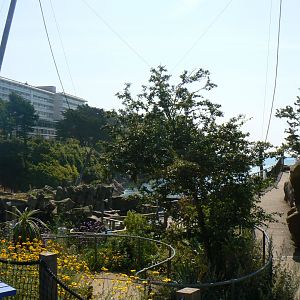 General View - 6 July 2018