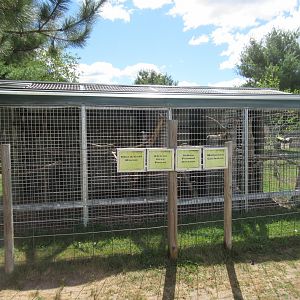 4 Bird Aviaries (4 Species)