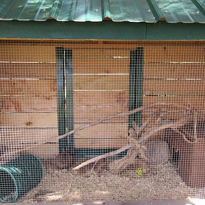 Black-tailed Prairie Dog Exhibit