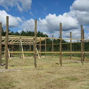 Future White Tiger Exhibit