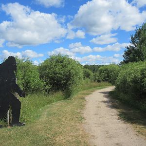 Path to Deer Exhibit
