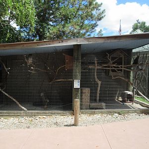 Barred Owl + Red-tailed Hawk Exhibits