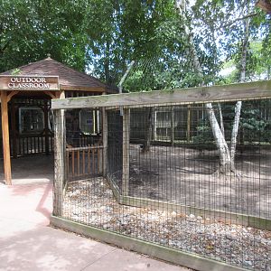 White-tailed Deer Exhibit