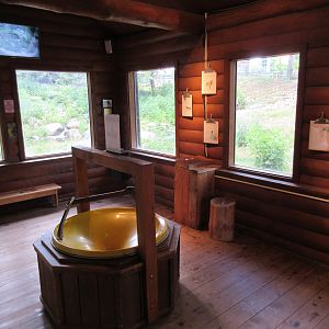 Mexican Grey Wolf Exhibit