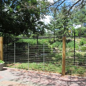 Mexican Grey Wolf Exhibit
