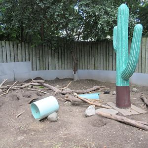 Black-tailed Prairie Dog Exhibit