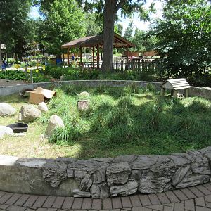 Leopard Tortoise Exhibit