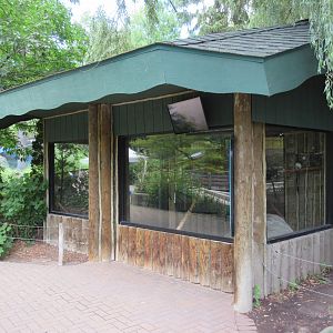 Cotton-top Tamarin Exhibit