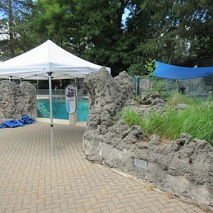 African Penguin Exhibit