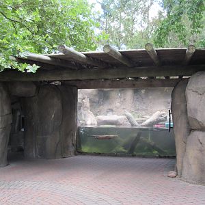 North American River Otter Exhibit