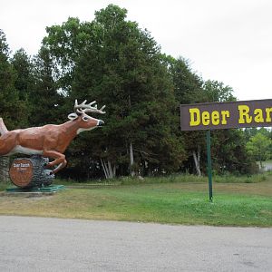 The Deer Ranch - St.Ignace, Michigan