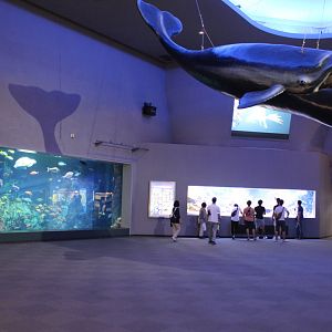 First exhibit among entry