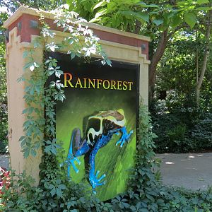The Rainforest - Exterior Sign