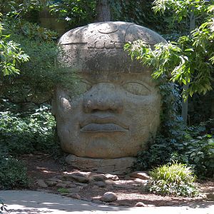 The Rainforest - Exterior