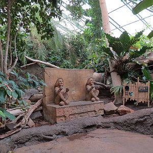 The Rainforest - Interior