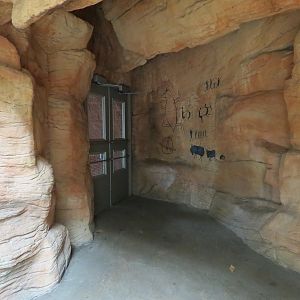 The Rainforest - Cave Passage