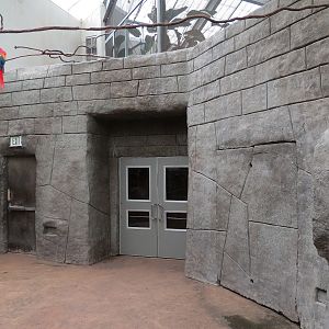 The Rainforest - Temple Passage