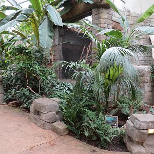 The Rainforest - Interior