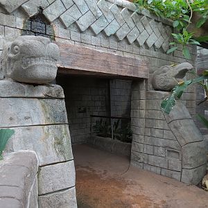 The Rainforest - Temple Passage
