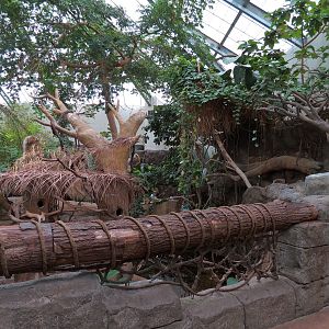 The Rainforest - Interior
