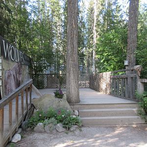 Grey Wolf Exhibit #2 - Viewing Deck