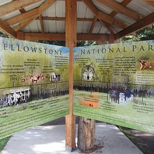 Yellowstone Sign