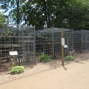 Primate Exhibits (3 Species)