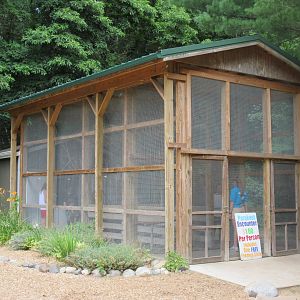 Parakeet Walk-Through Aviary