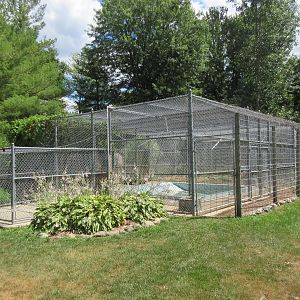 Grizzly Bear Exhibit (labeled as 'Siberian Brown Bear')