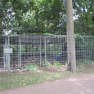 Bengal Tiger Exhibit