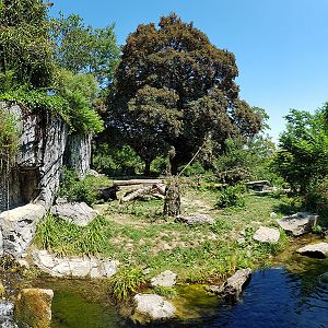 Spectacled bear & coati: viewpoint 5 panorama