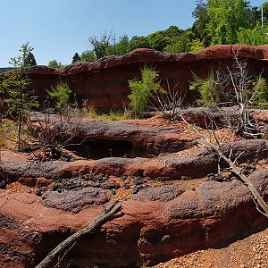Perentie outdoors panorama