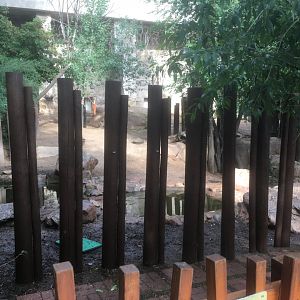 Mountain tapir exhibit