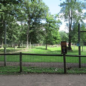 Nilgai Exhibit