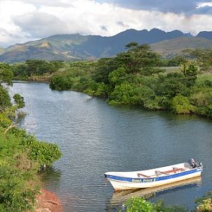 Fijian river scene