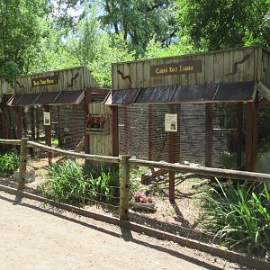 Cuban Rock Iguana + Black-throated Monitor Exhibits