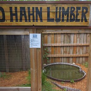 Morelet's Crocodile Exhibit