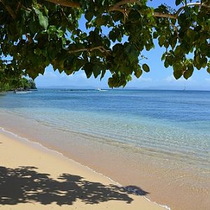 Taveuni island beach scene, Fiji