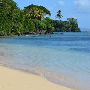 Beach scene, Taveuni island, Fiji
