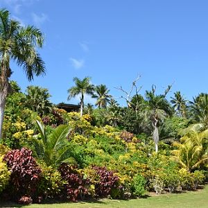 Garden on Taveuni island, Fiji.