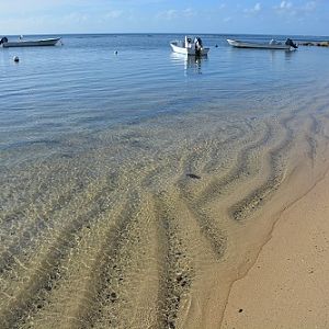 Clear waters on Taveuni beach, Fiji