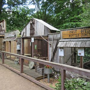 Reptile Exhibits