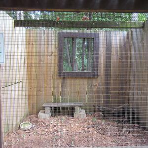 Gila Monster Exhibit