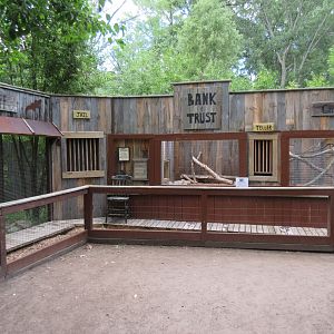 Reptile Exhibits