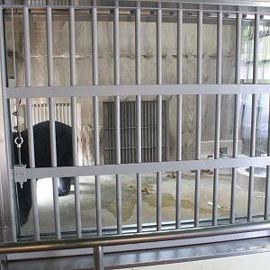 Indoor exhibit for bear