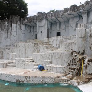 Exhibit for polar bear