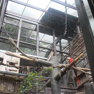Macaw exhibit
