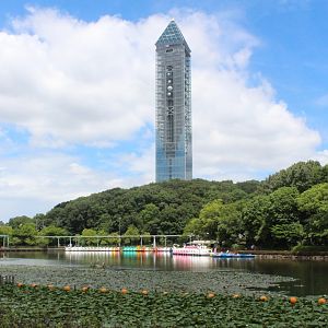 Sky tower view from the zoo