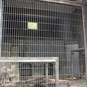 Snow leopard exhibit